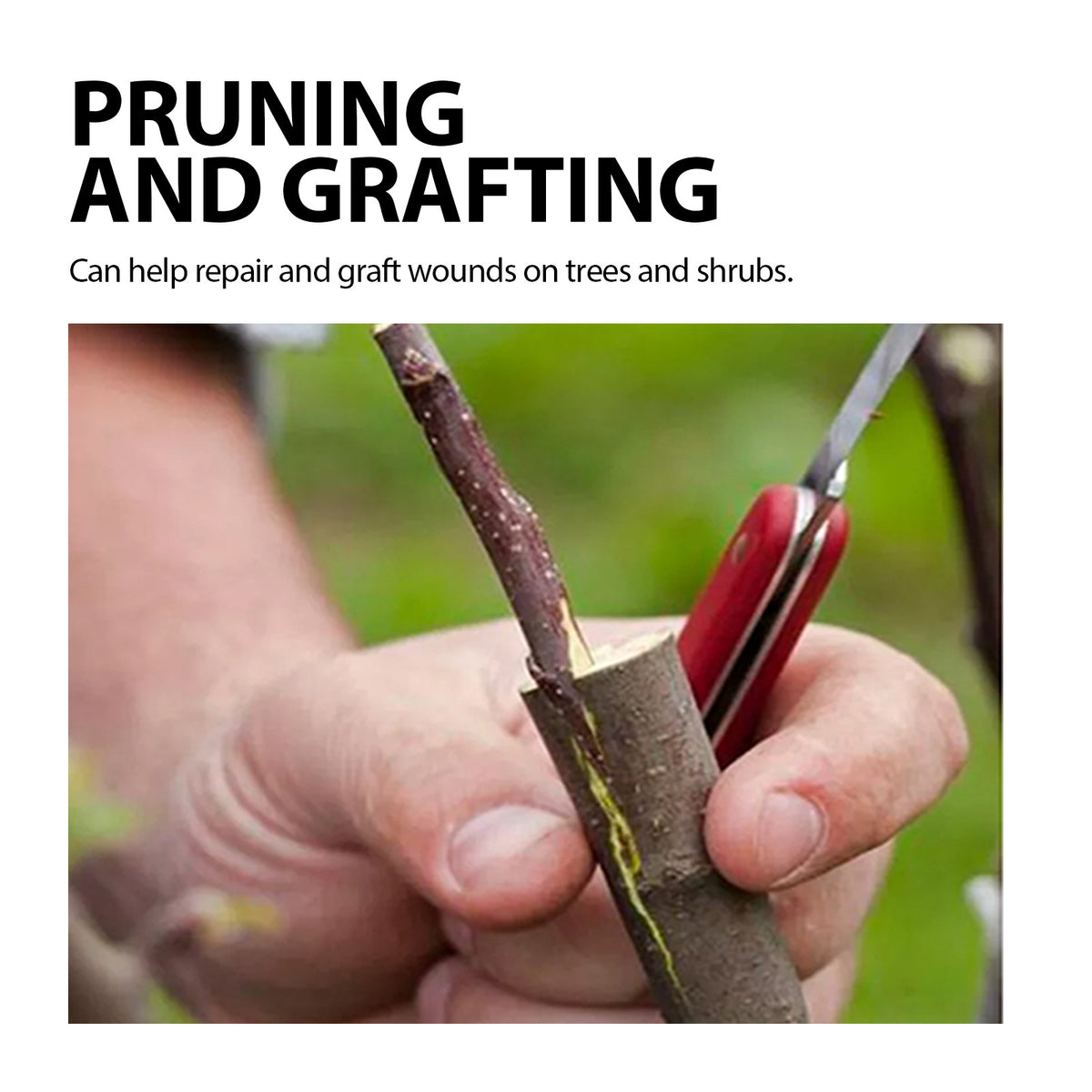 Tree Wound Dressing for Pruning, Grafting & Healing