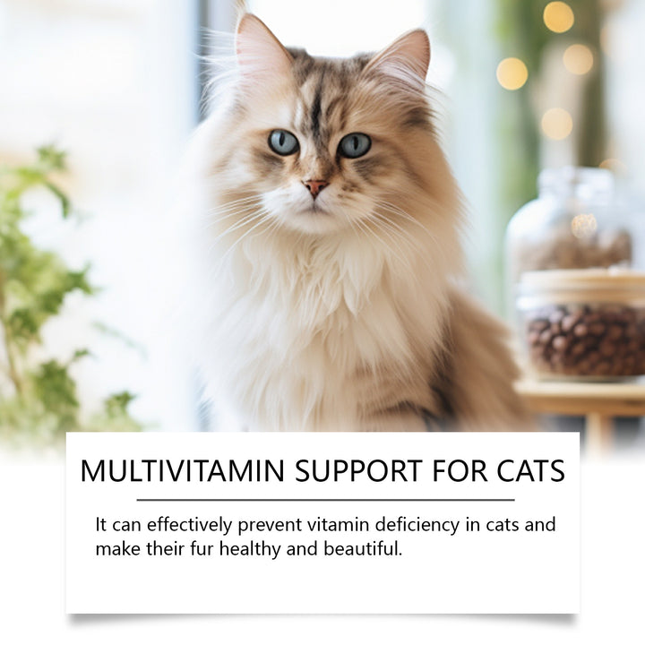 Cat Multivitamin Tablets for Everyday Health Support