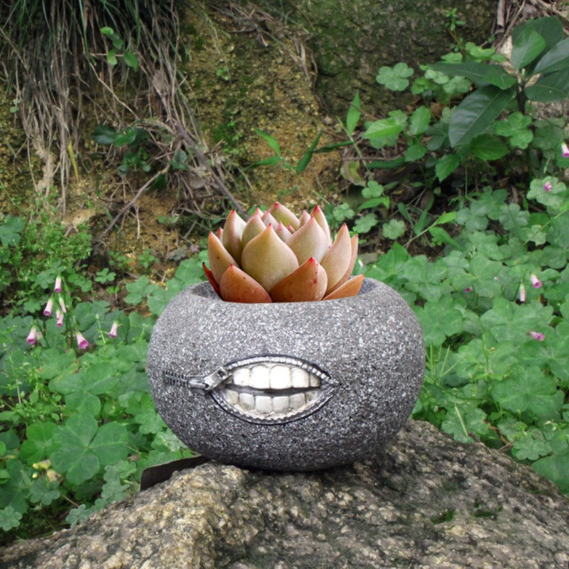 Zipper-Mouth Stone Succulent Planter for Desk & Patio Decor
