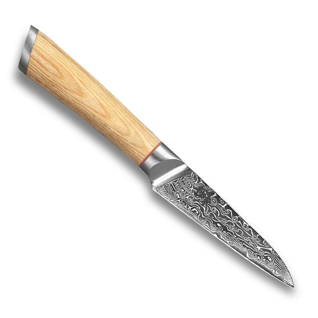 67-Layer VG10 Damascus Kitchen Knife Set for Every Task