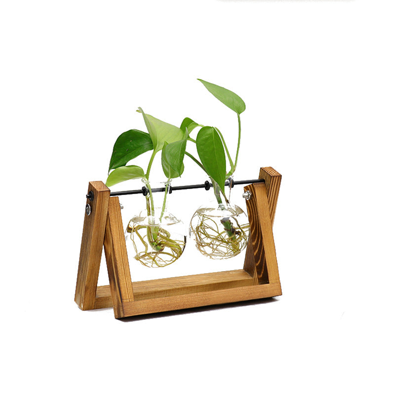 Wooden Desktop Propagation Vase with Glass Bulbs Set