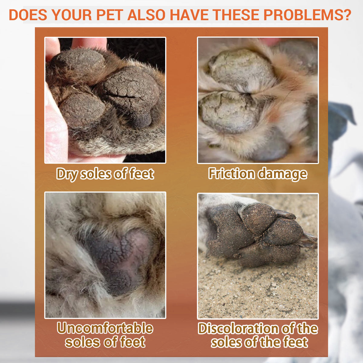 Pet Paw Balm for Dry, Cracked Dog and Cat Paw Pads