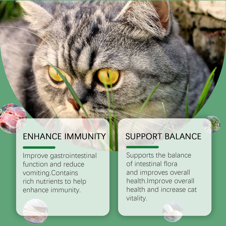 Cat Grass Tablets for Hairball & Digestive Support