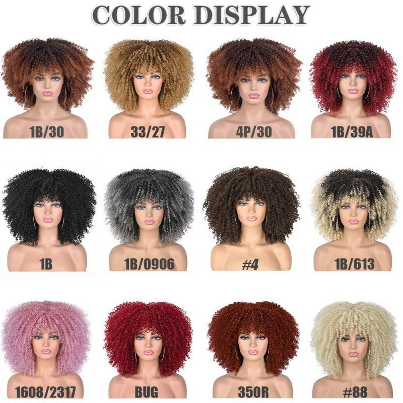 Small Curly Afro Wig for Instant Full-Volume Styling