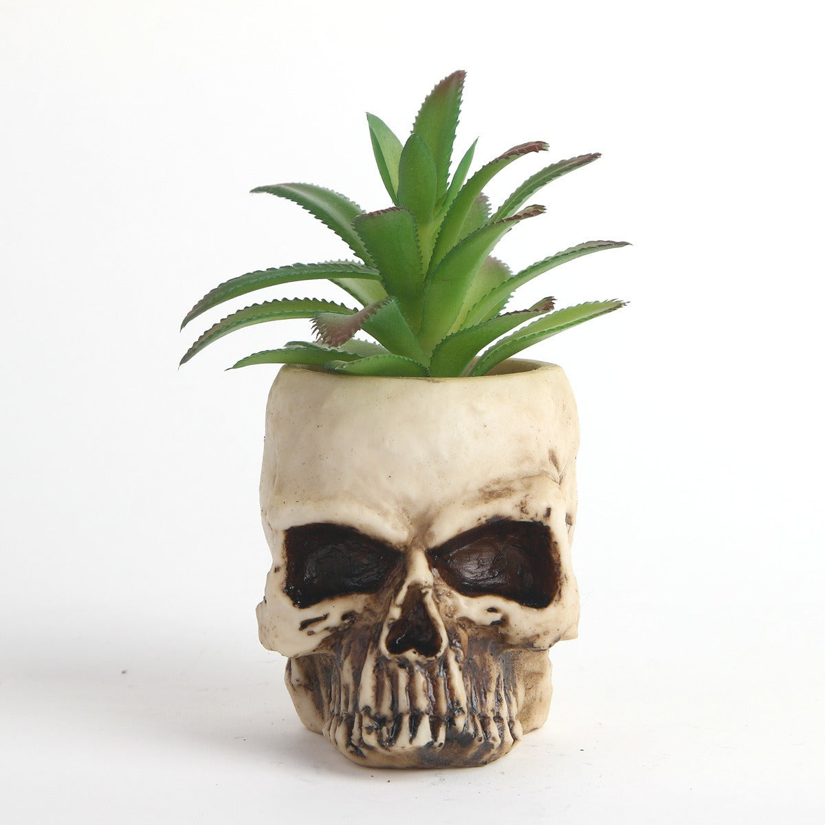 Skull Head Planter with Faux Succulent, Gothic Decor
