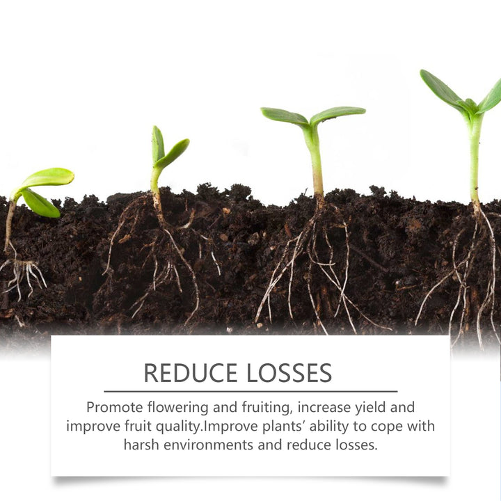 Plant Root Powder for Stronger Seedlings and Growth