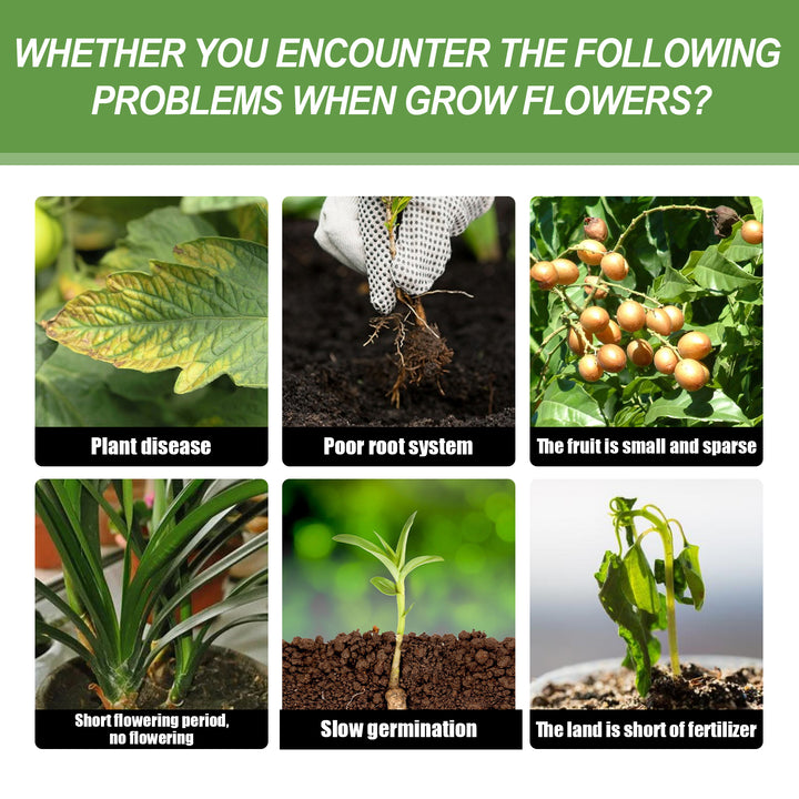 Granular Plant Fertilizer for Greener, Stronger Growth