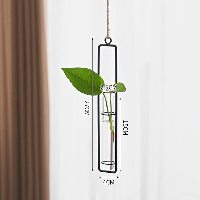 Glass Hydroponic Vase for Stylish Wall Plant Display