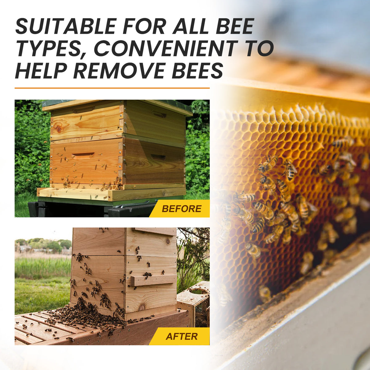 Wasp & Bee Trap Lure for Fast, Lasting Attraction