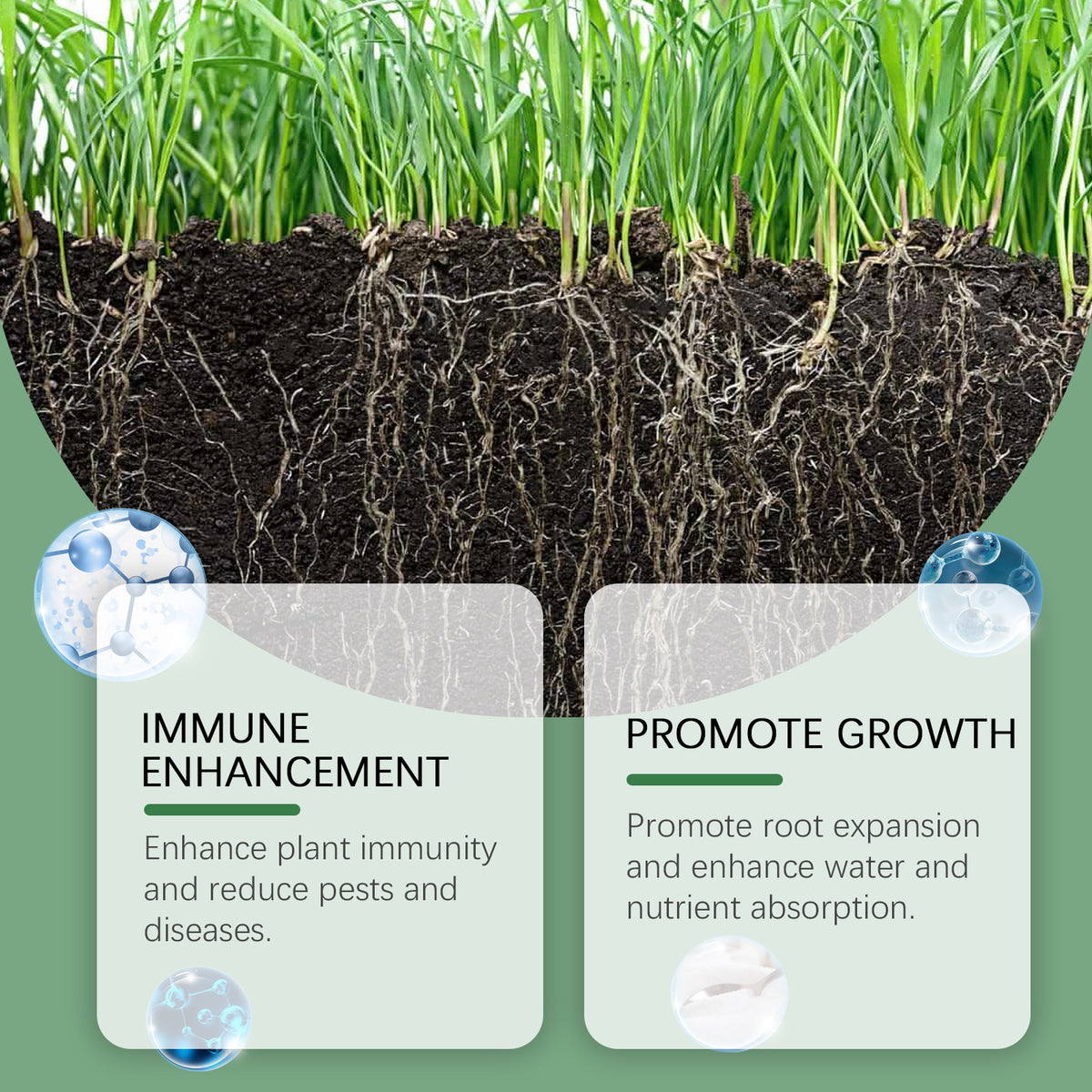 Plant Root Powder for Stronger Seedlings and Growth