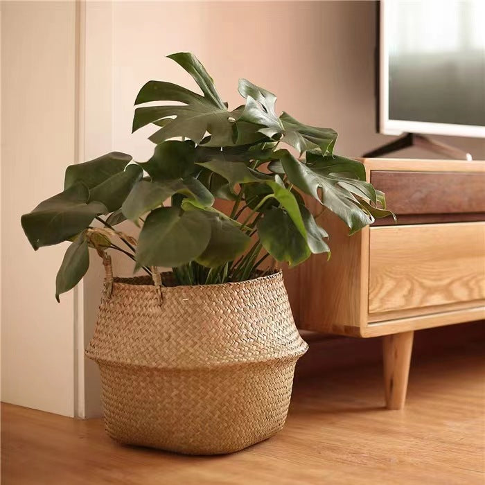 Woven Seagrass Basket Planter Cover for Living Room