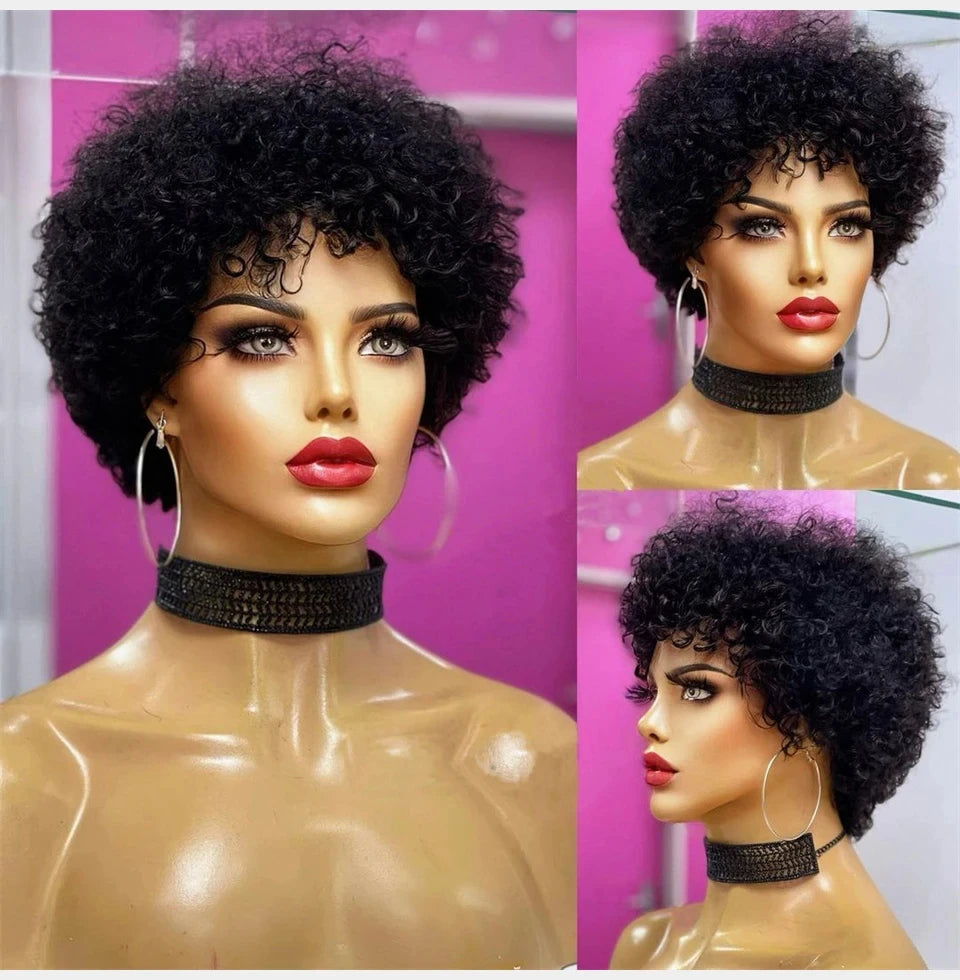 Kinky Curly Afro Wig for Black Women | Glueless Style