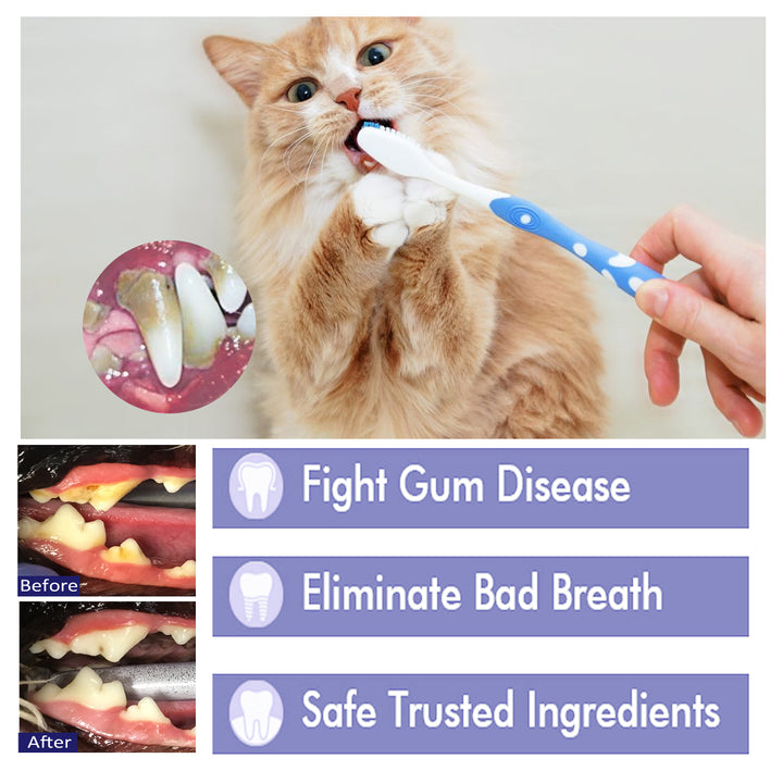 V34 Pet Toothpaste for Fresher Breath and Gum Care