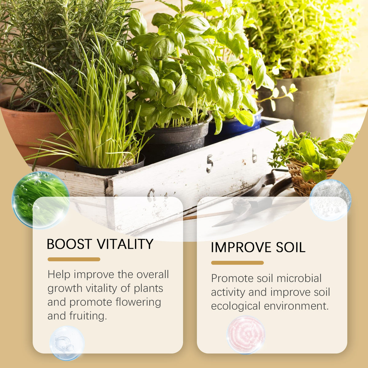 Plant Root Powder for Healthier Soil & Stronger Roots
