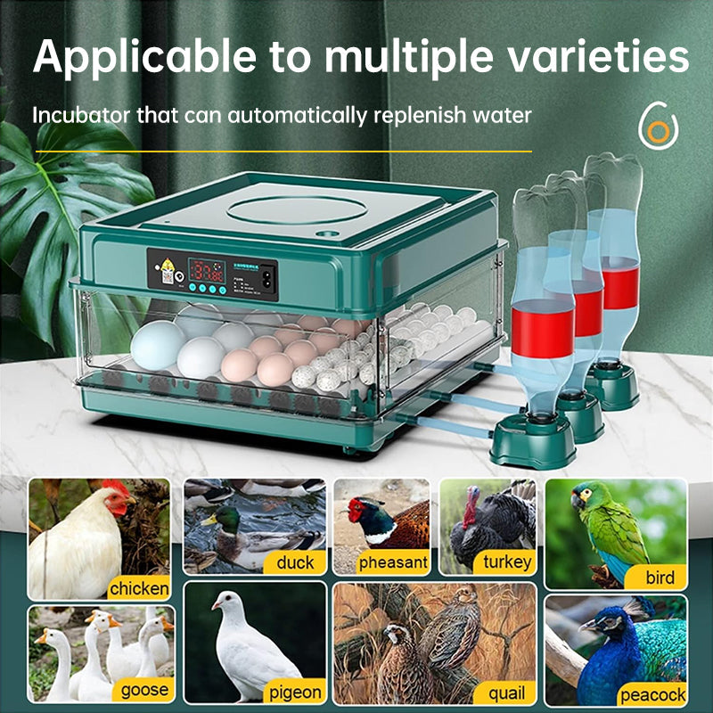 Egg Incubator 9-48 Egg Automatic Turning & Filling