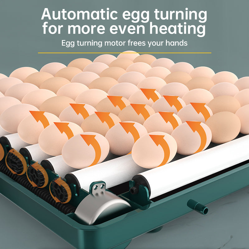 Egg Incubator 9-48 Egg Automatic Turning & Filling