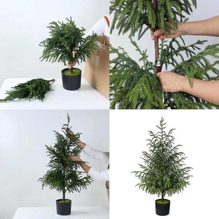 90cm Norfolk Pine Christmas Tree | Low-Maintenance Decor