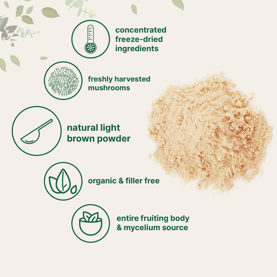 Lion’s Mane Mushroom Powder — Cognitive Health & Nerve Support