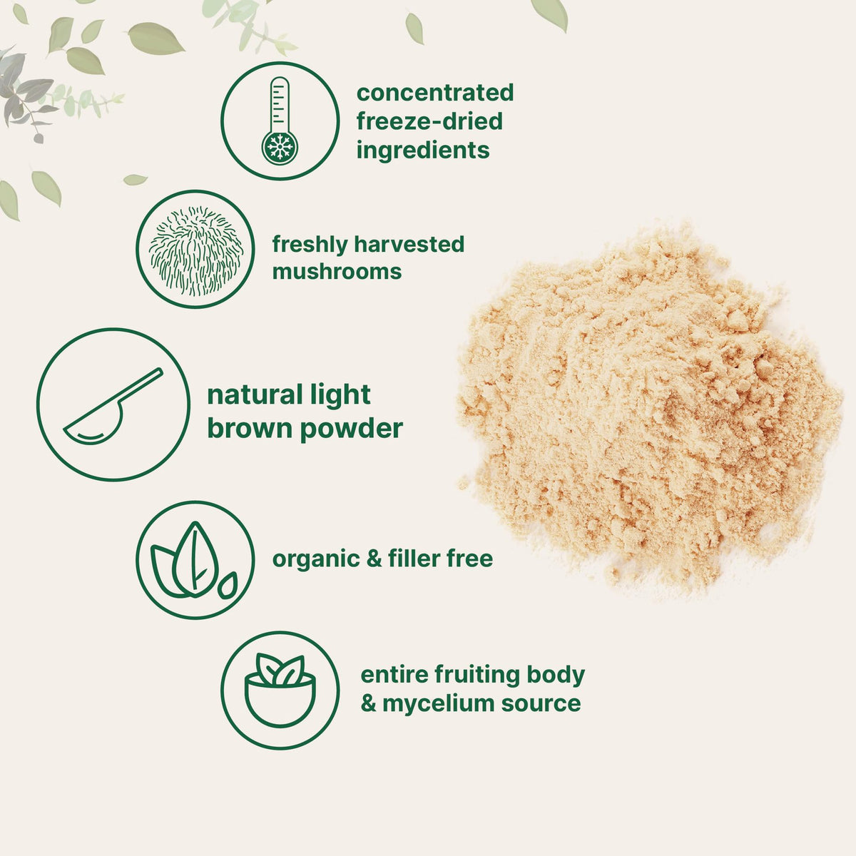 Lion’s Mane Mushroom Powder — Cognitive Health & Nerve Support