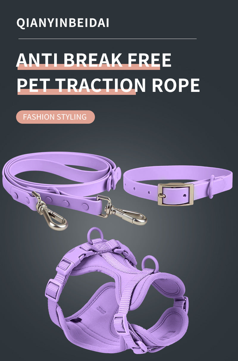 Waterproof Dog Harness Leash Set for Small Dogs, 3-Piece