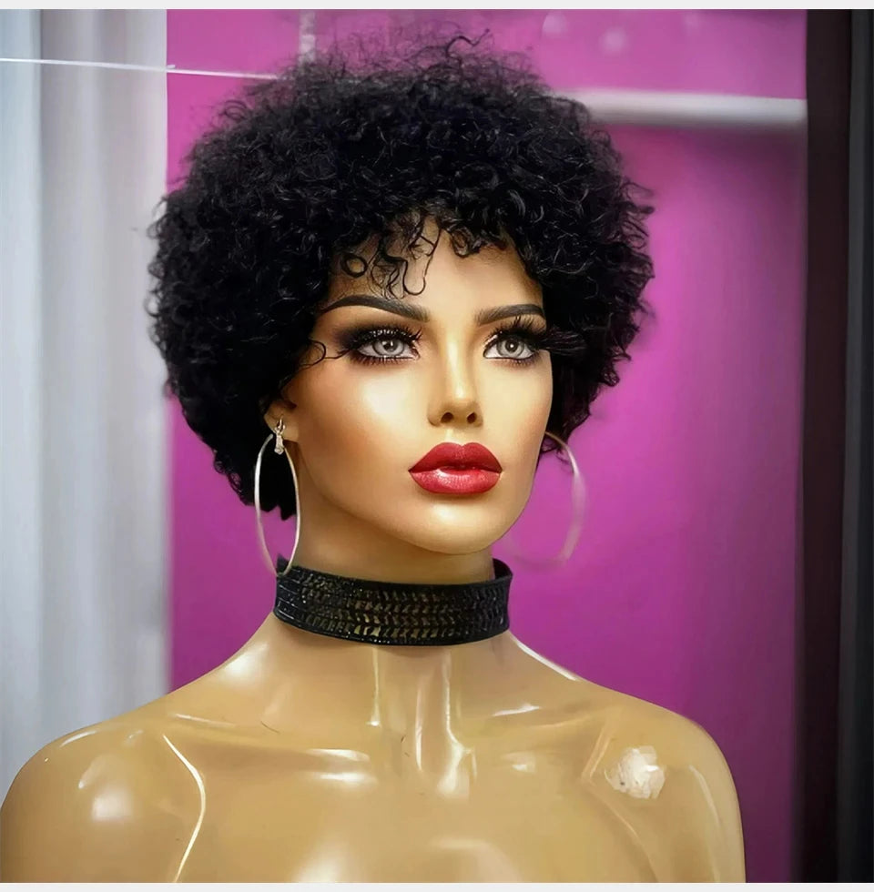 Kinky Curly Afro Wig for Black Women | Glueless Style