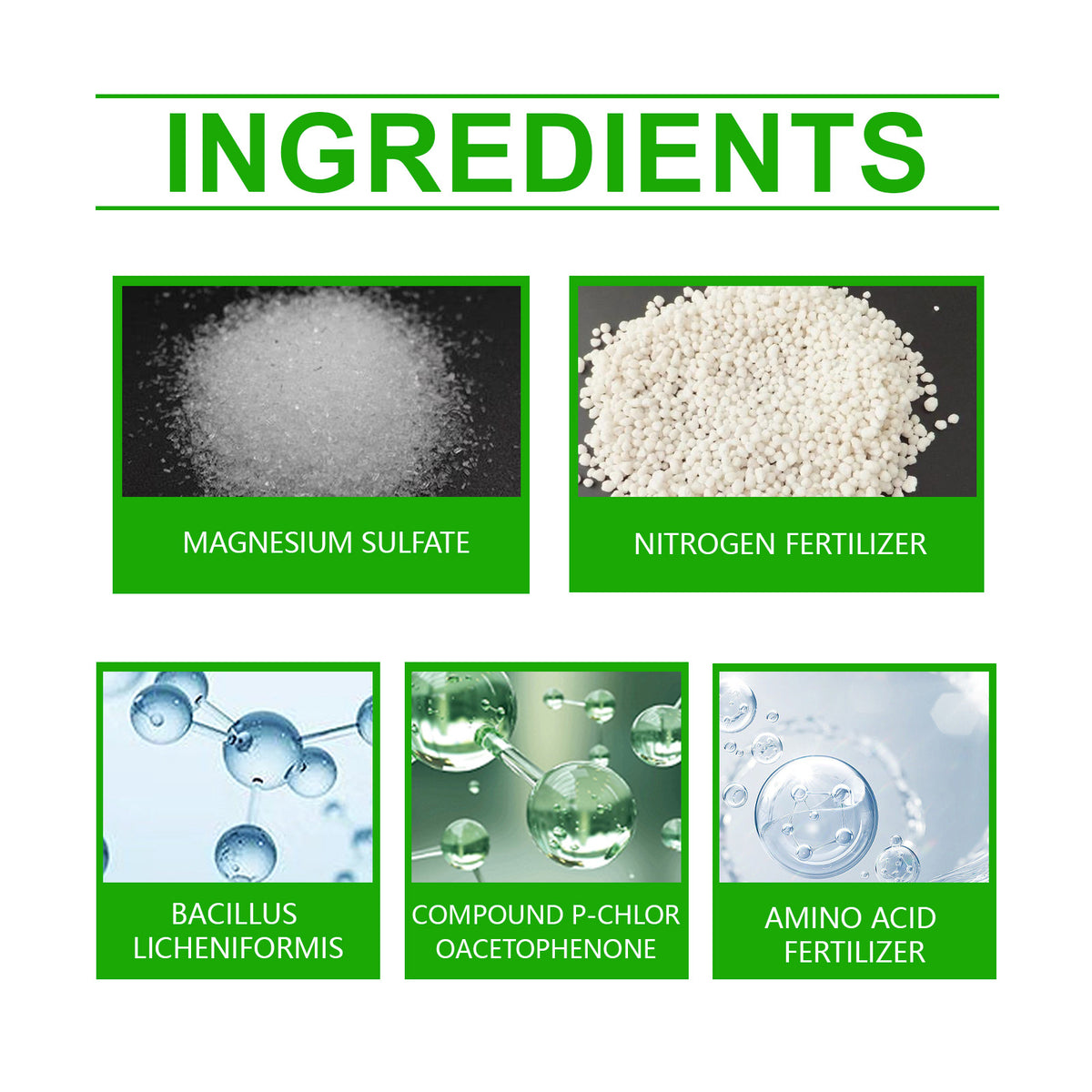 Plant Nutrient Solution for Healthy Roots and Growth