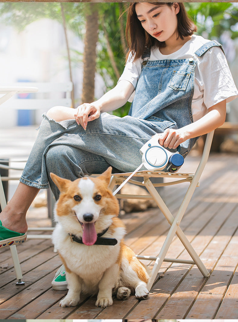 Retractable Pet Leash With Built-In Light for Walks