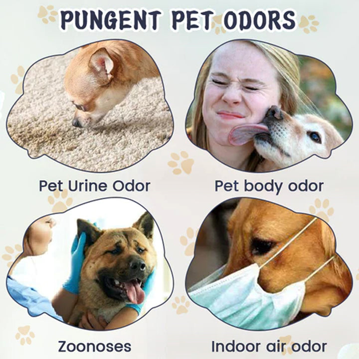 Pet Odor & Stain Eliminator for Fresh, Calm Indoor Homes