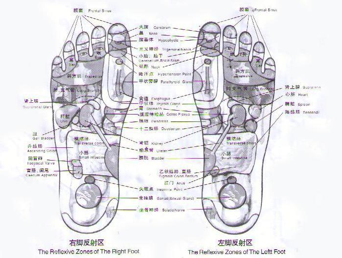 Reflexology Foot Mat — 25+ Acupressure Points for Natural