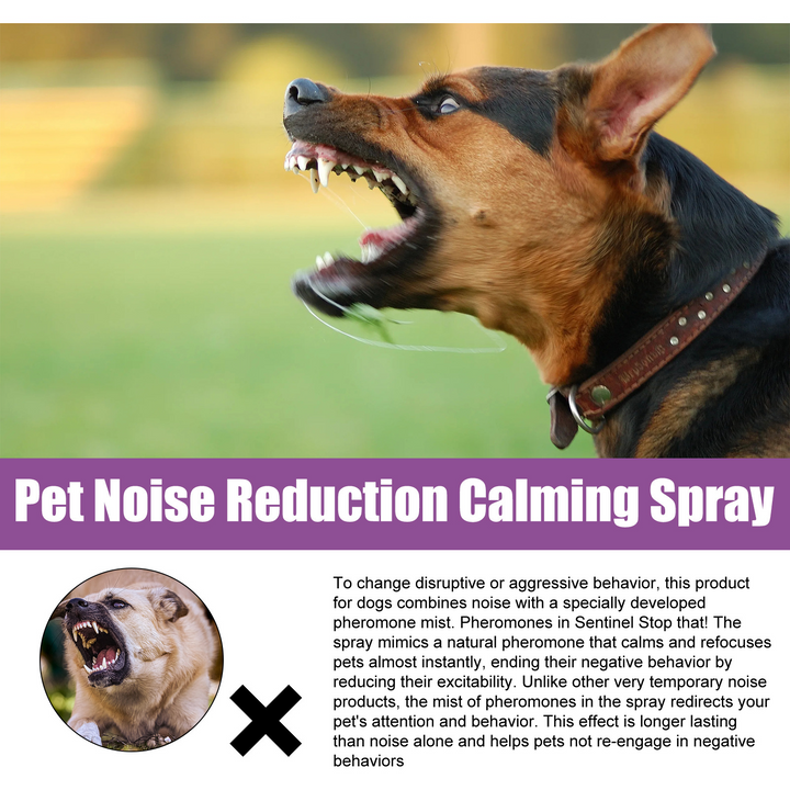 Pet Calming Spray for Noisy, Reactive Dogs at Home