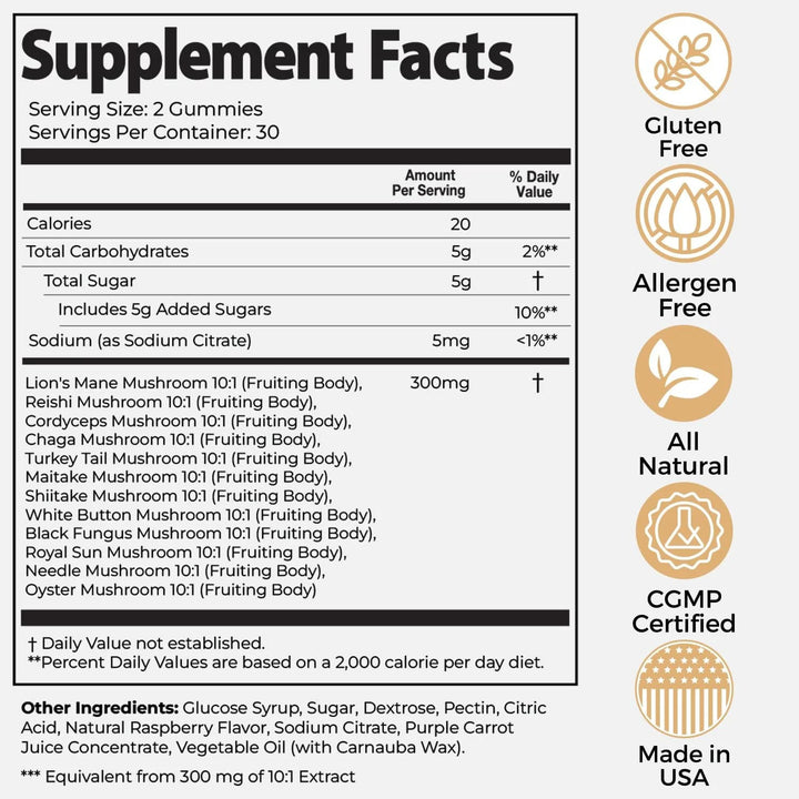 Lion's Mane Mushroom Gummies for Brain & Focus