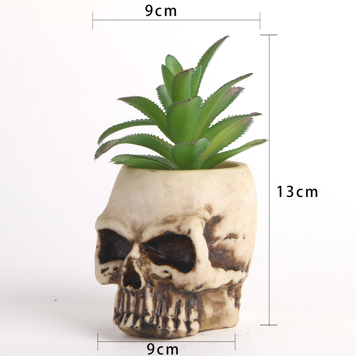 Skull Head Planter with Faux Succulent, Gothic Decor