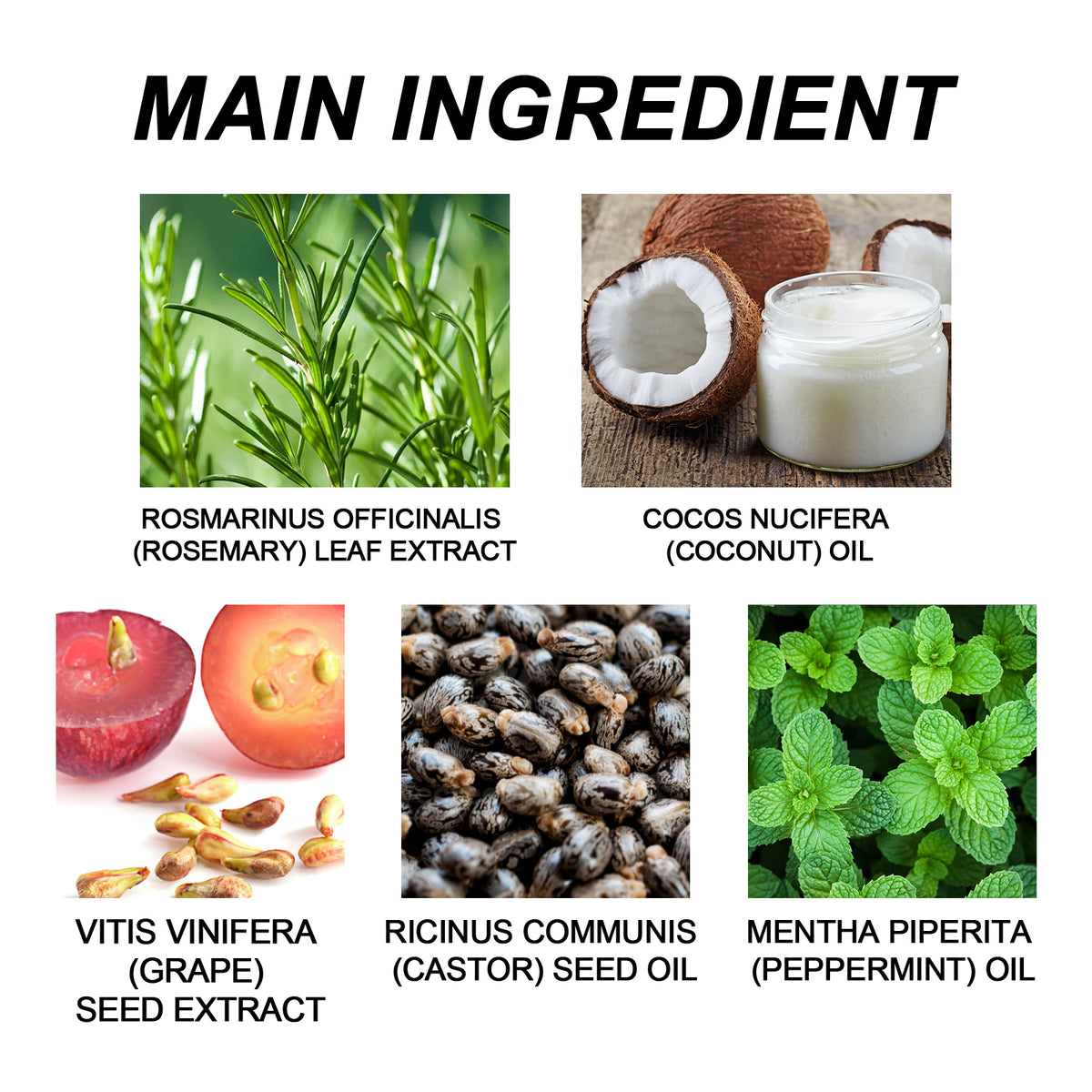 Rosemary Hair Oil for Healthier-Looking Hair Roots