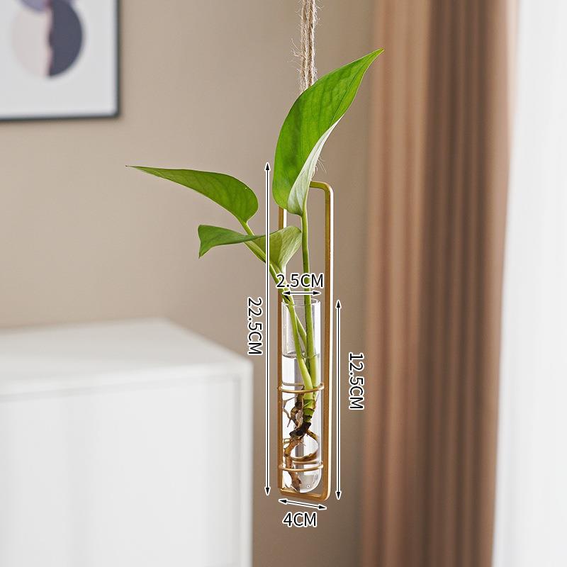 Glass Hydroponic Vase for Stylish Wall Plant Display