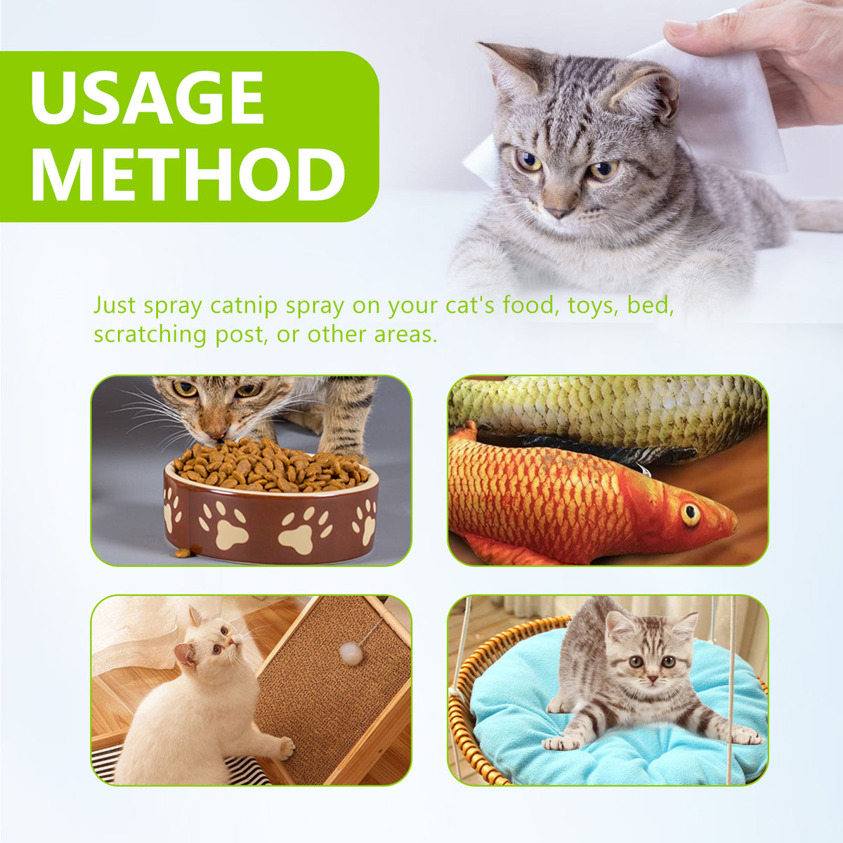 Catnip Spray for Indoor Cats: Happy Play Enrichment