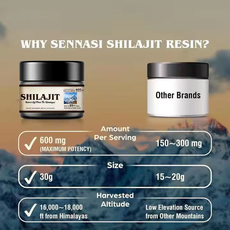 Shilajit Resin — 600mg Pure Himalayan Mineral Support