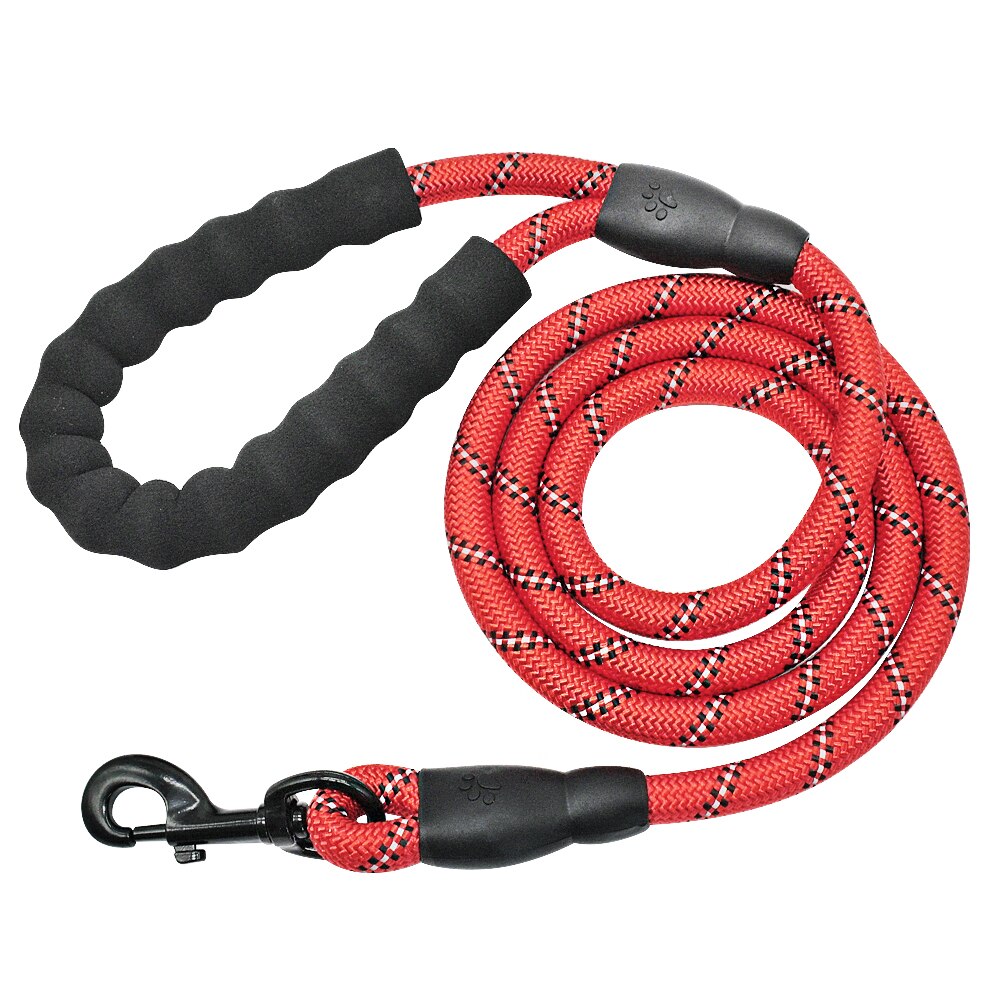 Reflective Dog Leash with Padded Handle for Safer Walks