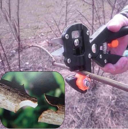 Grafting Pruner Tool for Fruit Trees and Roses