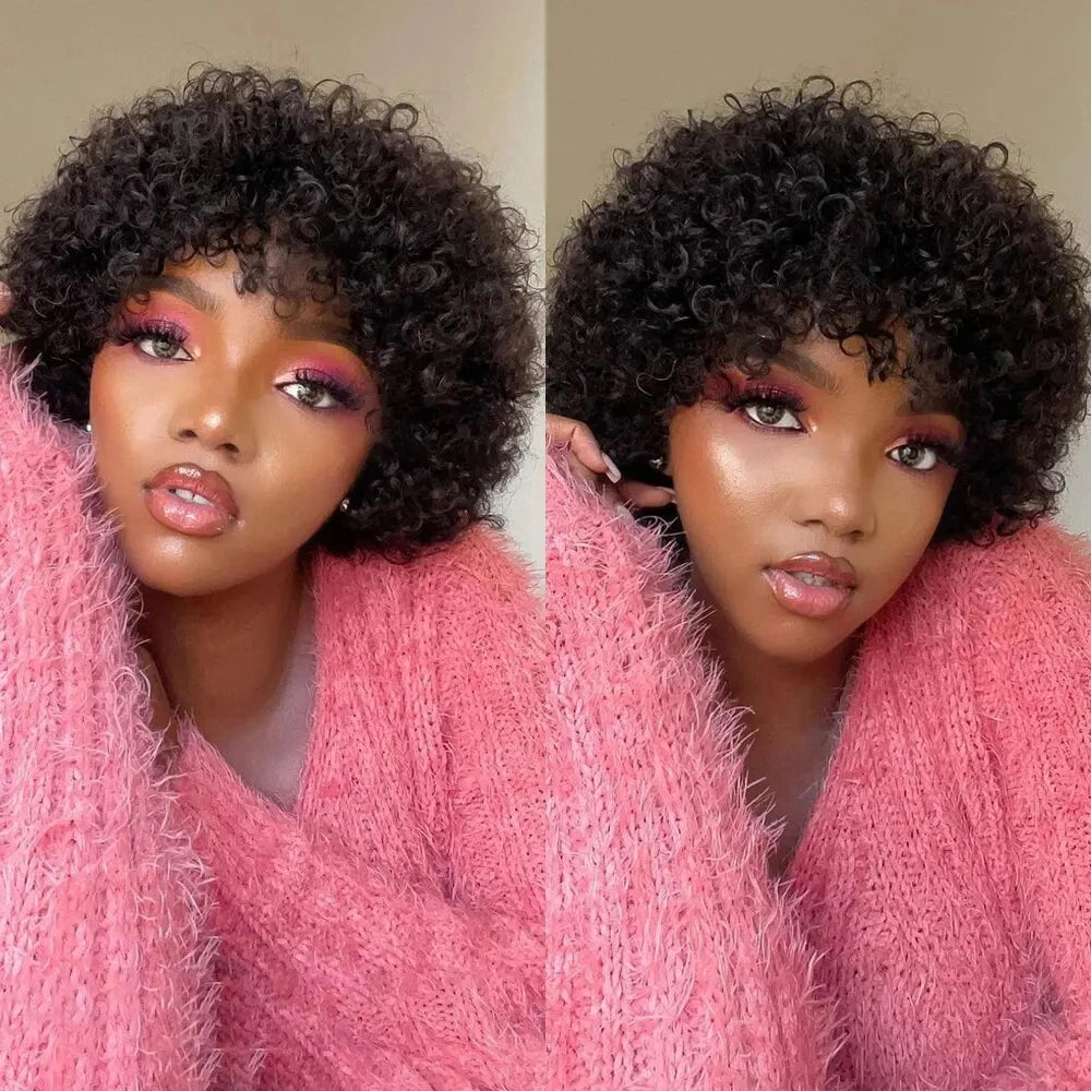 Kinky Curly Afro Wig for Black Women | Glueless Style