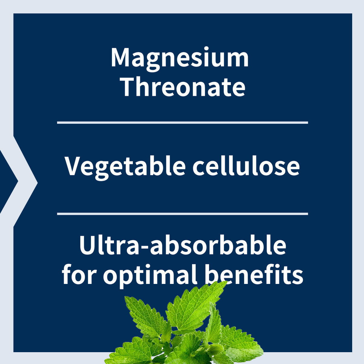 Magnesium Threonate Capsules — Support Memory, Focus & Calm