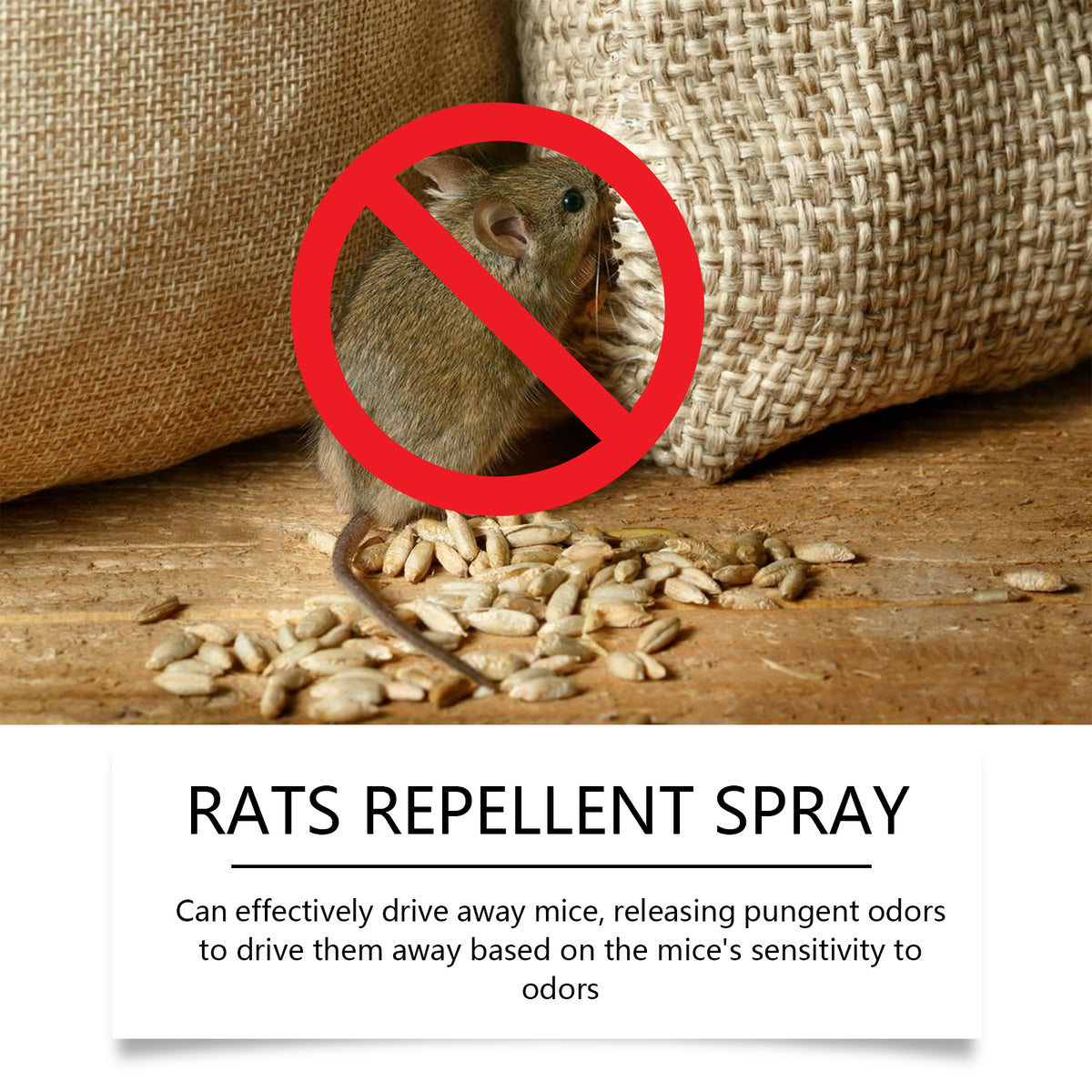 Rat Repellent Spray for Home, Car & Outdoor Spaces