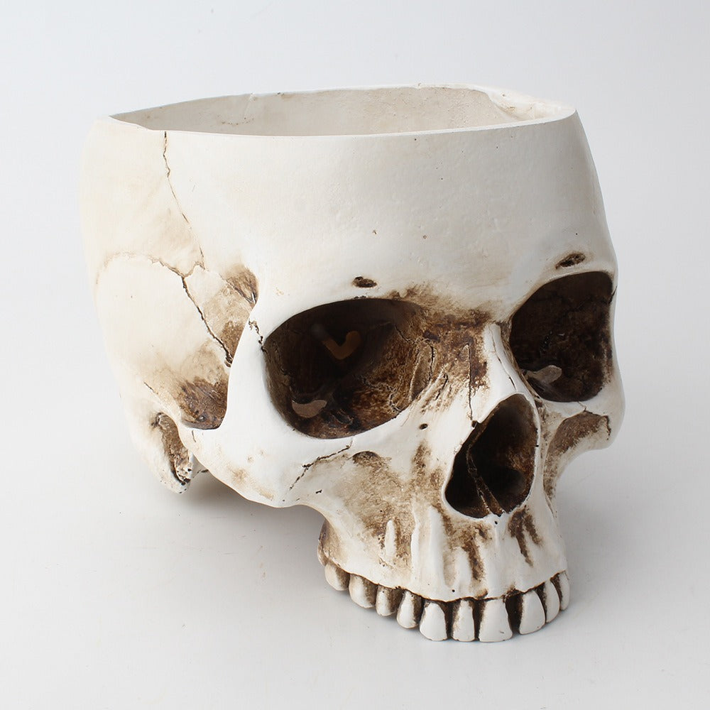 Skull Succulent Planter, Gothic Desktop Flower Pot