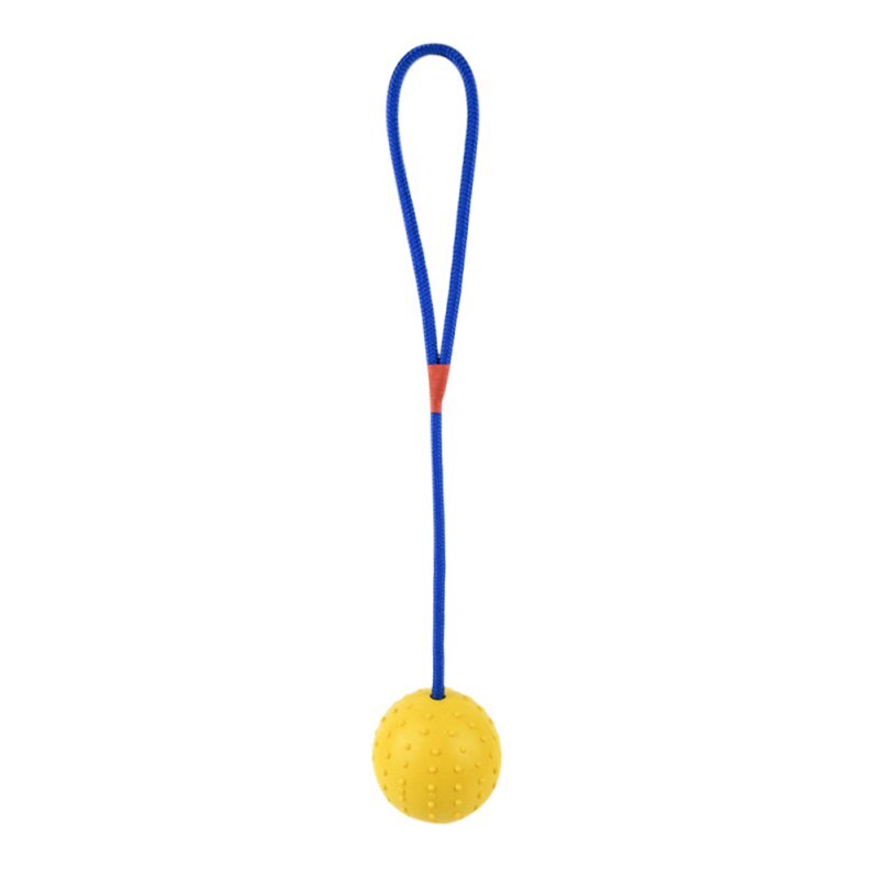 Dog Training Ball on Rope for Interactive Fetch Play