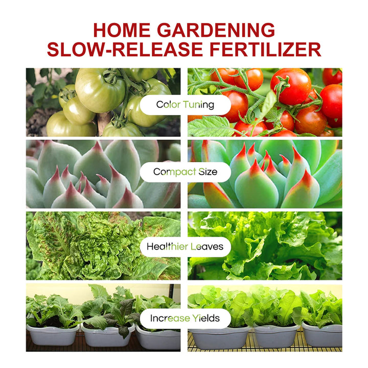 Plant Fertilizer Tablets for Healthier Leaves and Growth