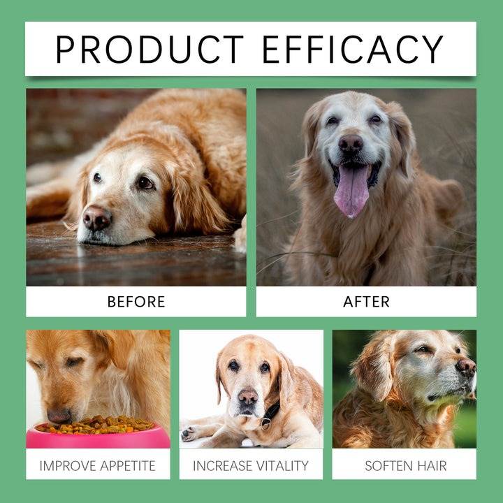 Senior Dog Vitamin Tablets for Daily Nutrition Support
