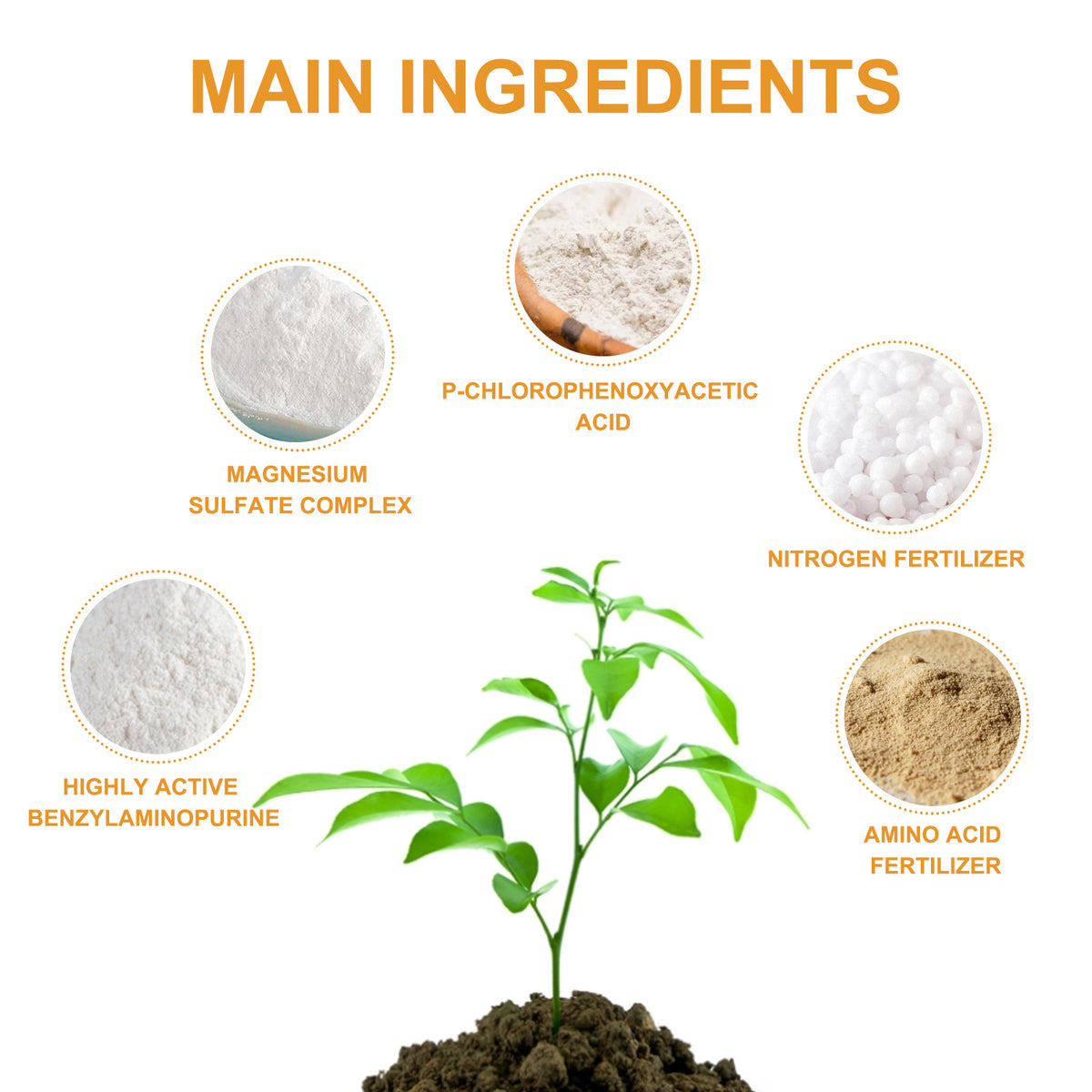 Citrus Tree Fertilizer 3-1-2 Liquid Concentrate 100ml