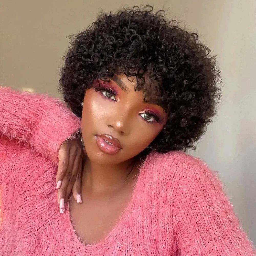 Kinky Curly Afro Wig for Black Women | Glueless Style