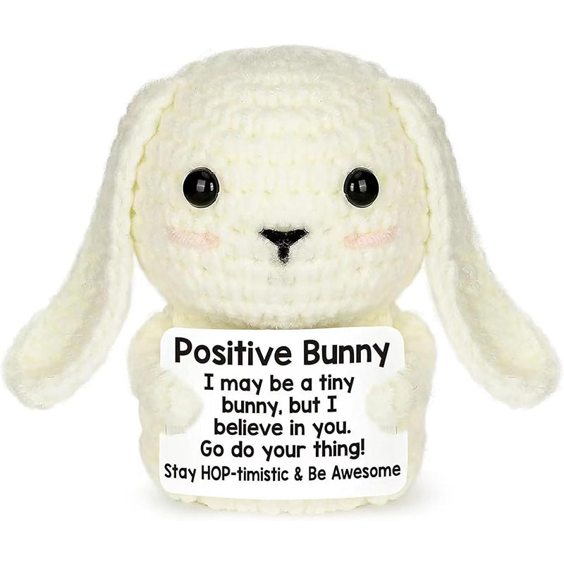 Handmade Knitted Gift Doll With Heartfelt Message
