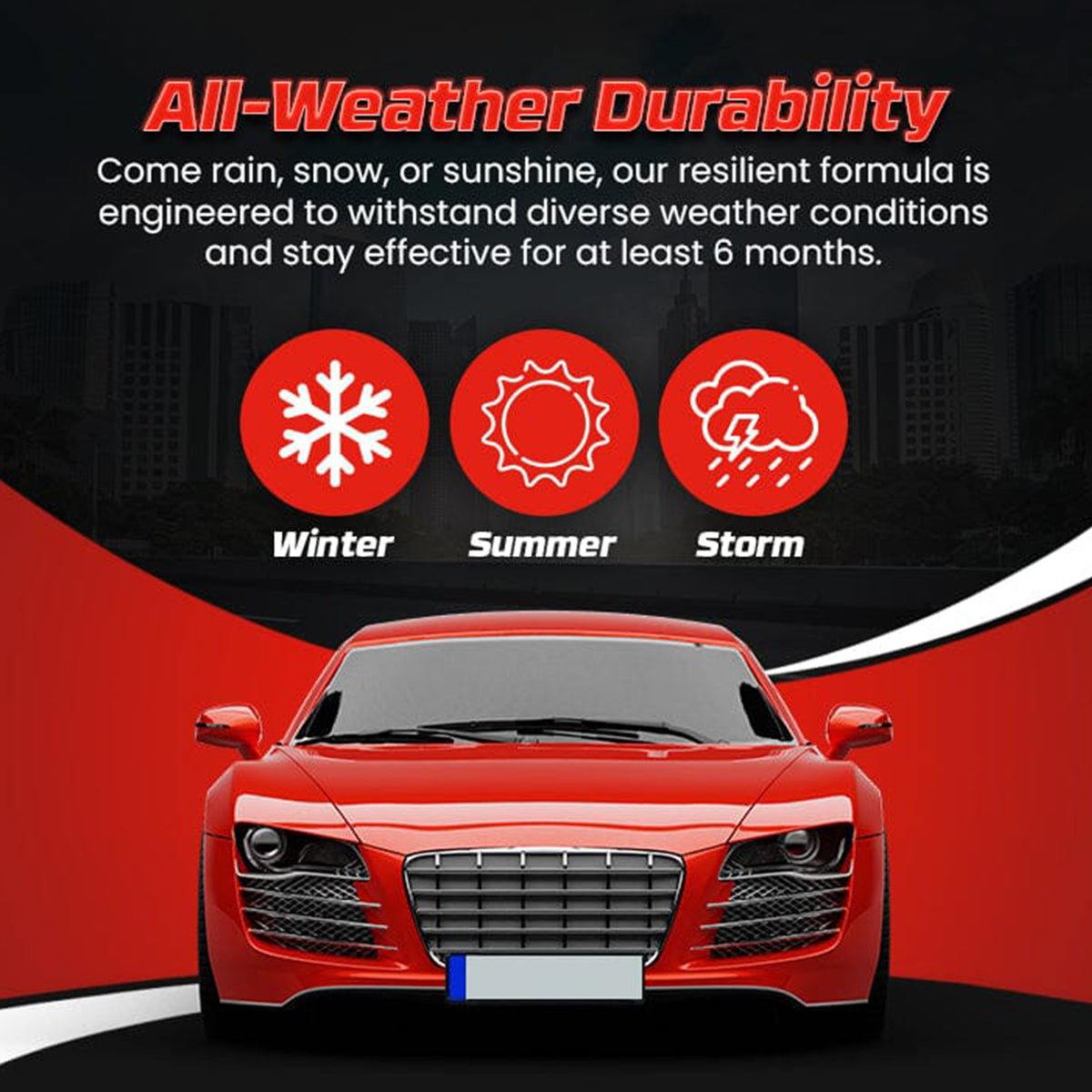 License Plate Spray — All-Weather Privacy Coating