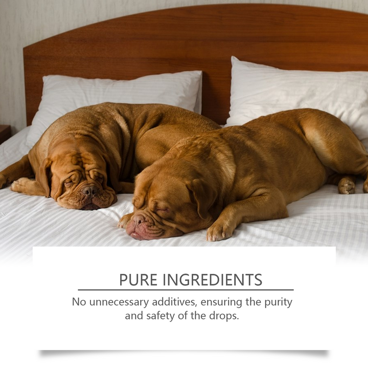Dog Sleep Drops — Calmer Nights With Mint